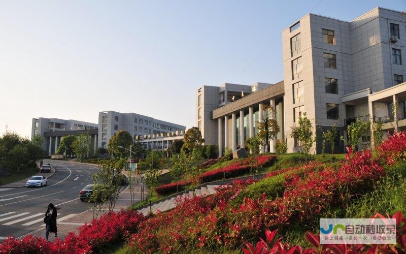 随州专业网站建设公司：打造引流高效、用户体验优异的企业官网