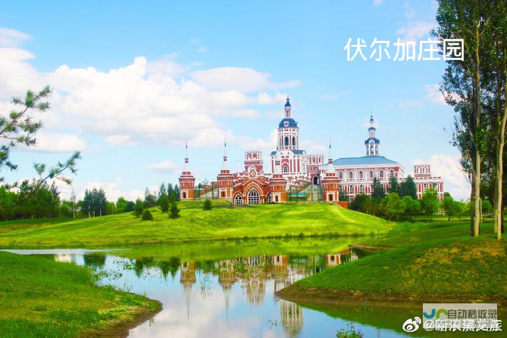 哈尔滨领先网站建设服务商：定制专属网站，助您在互联网时代脱颖而出