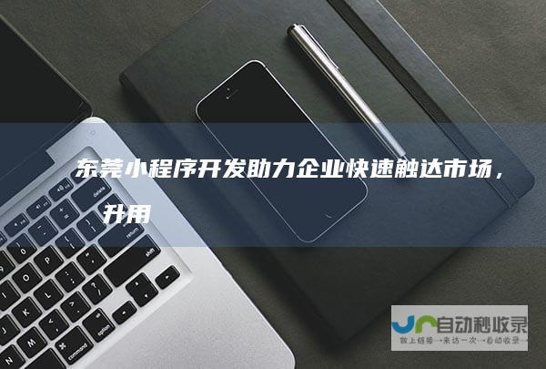 东莞小程序开发：助力企业快速触达市场，提升用户体验