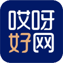 哎呀好网-全国中小微企业数字化服务平台【aiyahao.wang】